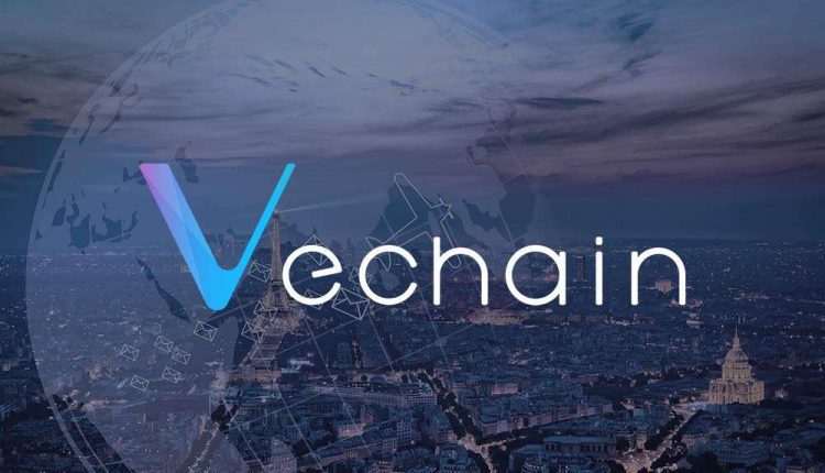 BitOcean's partnership with VeChain finalized