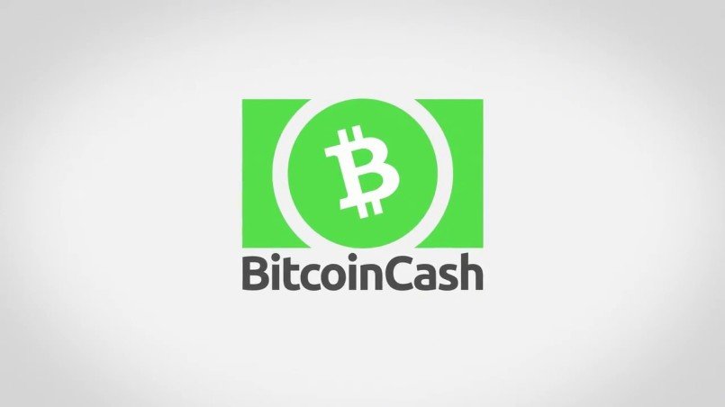 merchants accept bitcoin cash
