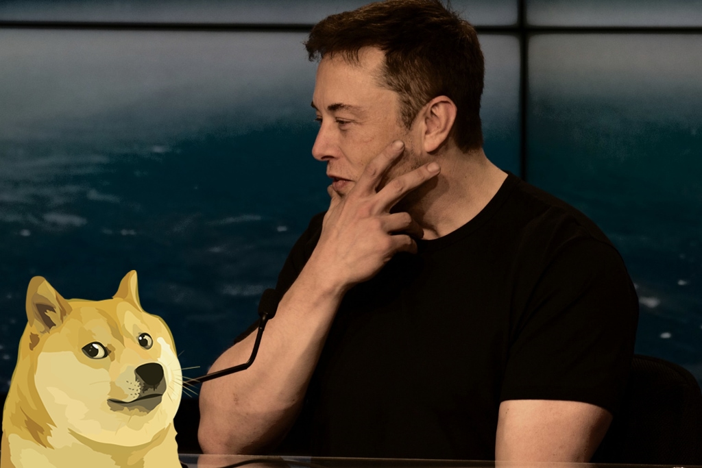 Elon Musk says Dogecoin is his Favorite Cryptocurrency - Blockmanity
