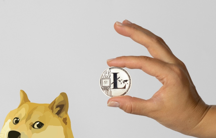 bitcoin dogecoin litecoin wallet