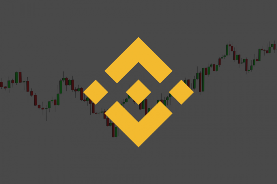 binance-coin-bnb-960x640.png