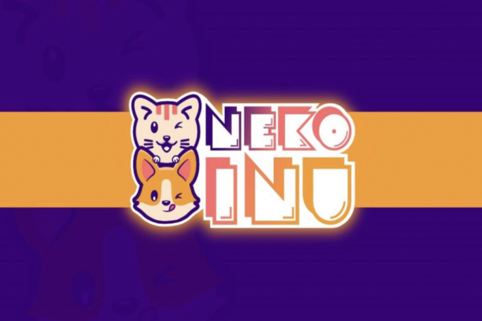 What is Neko-Inu?