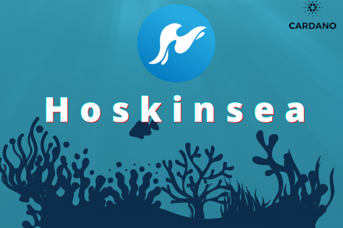 Announcing the $HSK Curation Token and Hoskinsea NFT Marketplace on Cardano