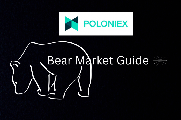 Poloniex's Guide for the Bear Market - 5 Best Investment Strategies to fight Inflation