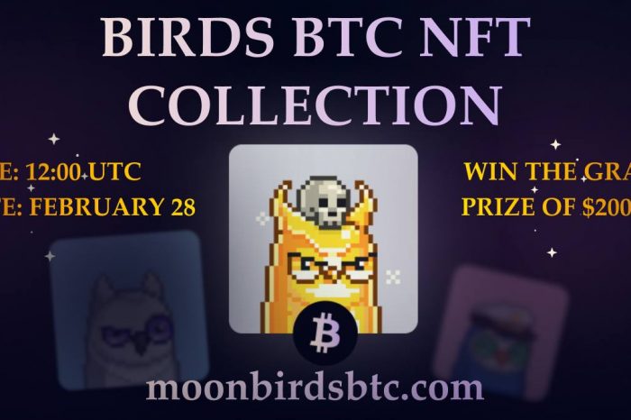 Moonbirds to be released as a Bitcoin NFT collection