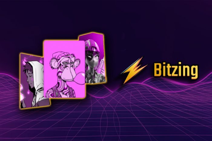 Discover Limitless Rewards with Bitzing Airdrop: Unveiling Hidden Treasures in the World of NFTs