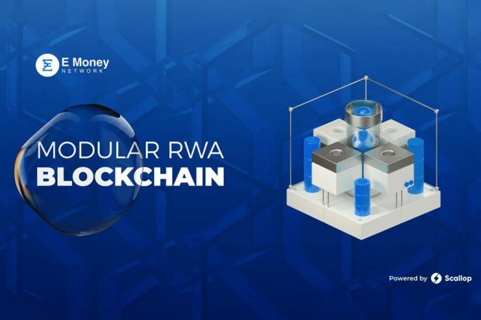 E Money Network: Leading Compliance-Focused Blockchain for RWAs